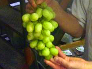 �v�����Z�X