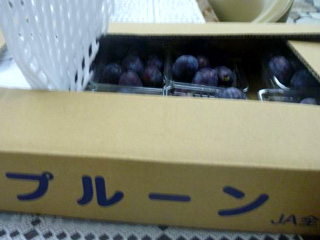 �v���[��