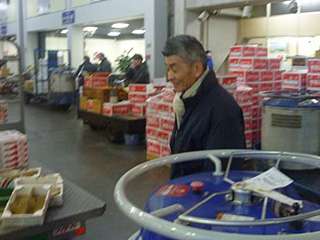 ���F�̎В�