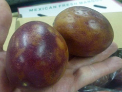 �p�b�V�����t���[�c