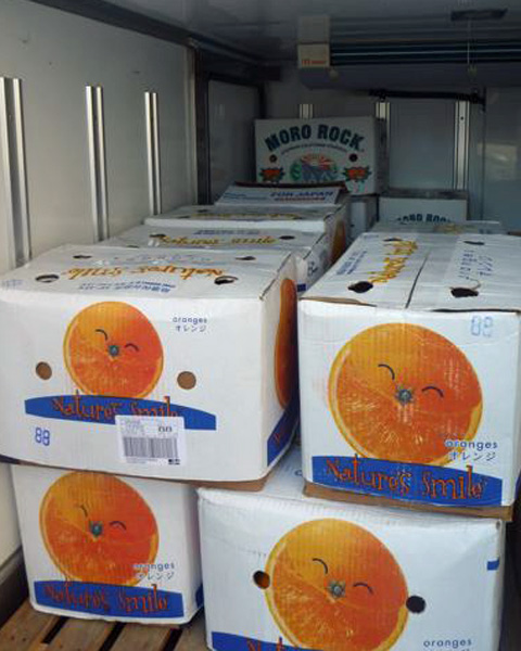 �I�����W