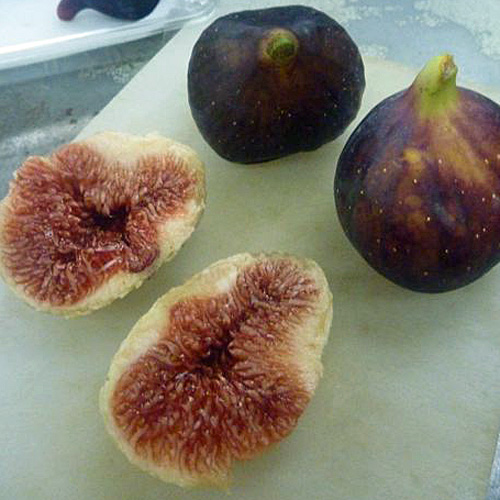 �r�I���\���G�X