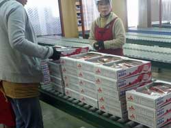 �W�׃Z���^�[