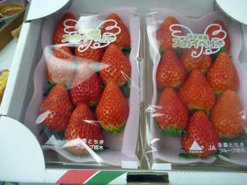 �X�J�C�x���[