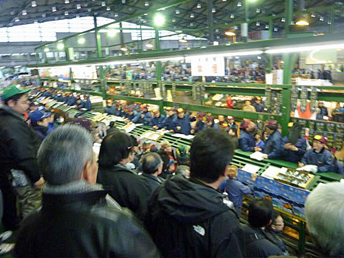 ��c�s��Z����