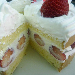 �C�`�S�T���h