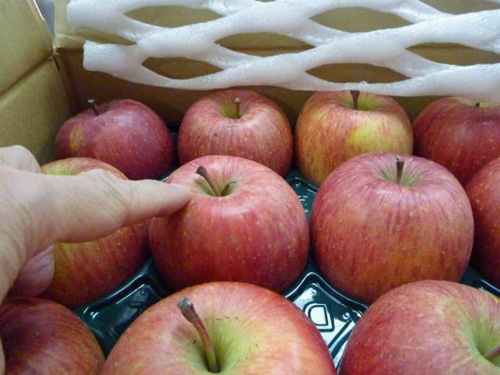 �T���t�W�@�t�b�s�[