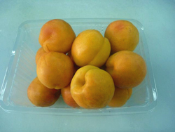 ���̃A���Y