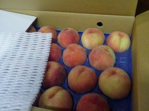 �āA�^������̉ʎ�