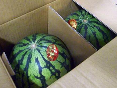 �āA�^������̉ʎ�