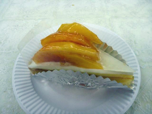 �l�N�^�����̃^���g