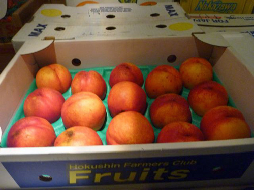 �l�N�^����