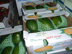 �O���[���}���S