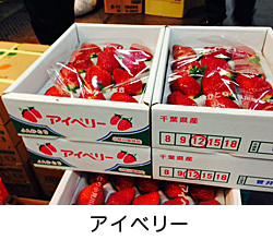 �A�C�x���[