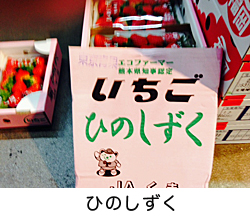 �Ђ̂�����