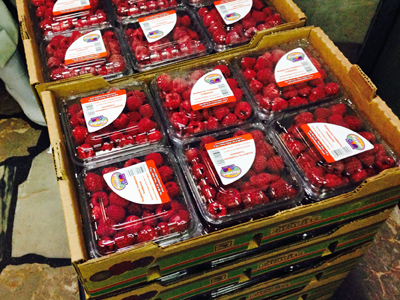 ���L�V�R�̃��Y�x���[