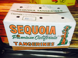 �~���I���j