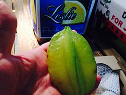 �G�ߖ��ڂ̂��َq����