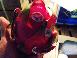 �G�ߖ��ڂ̂��َq����