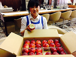 �l�N�^����