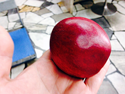 �l�N�^����