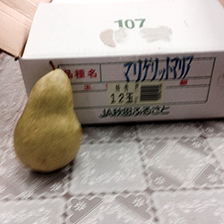 �}���Q���b�g�}���A