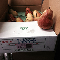 ���b�h�o�[�h