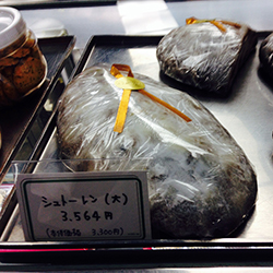 �V���g�[����