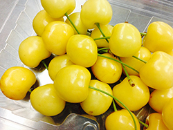 黄色いサクランボ