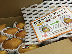 洋なしゼネラル・クラーク