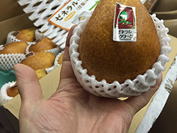 洋なしゼネラル・クラーク