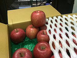 青森産のサンふじ