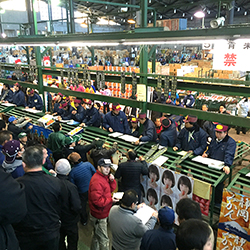 イチゴのセリ場