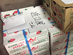 �����p�C�`�S