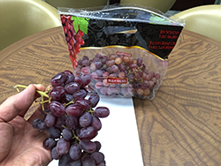 ���b�h�V�[�h��