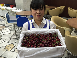 �T�N�����{