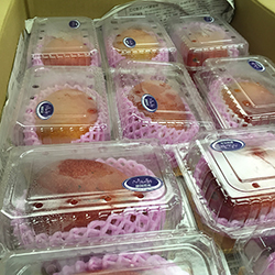 �É��Y�ō����}���S�[