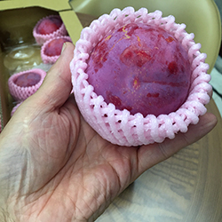 �M�z�@�v����