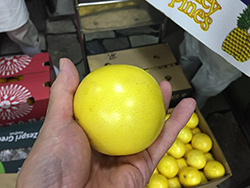 �O���[�v�t���[�c