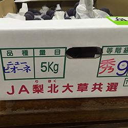 �j���[�s�I�[�l