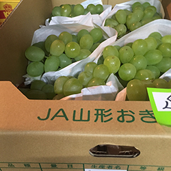 ���U���I�r�A���R