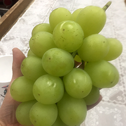 �����ق�