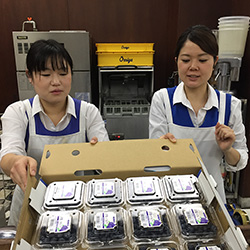 �u���[�x���[�@���L�V�R�Y���V�I