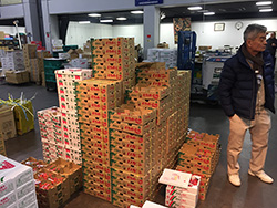 �N���X�}�X�O�̃C�`�S�̃Z����