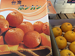 ��p�̃|���J��