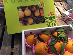 ���Y�̃f�R�|��