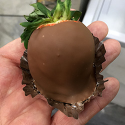 �嗱�C�`�S�Ƀt�F���N����