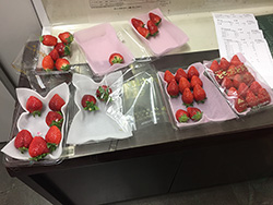 いろいろなイチゴ