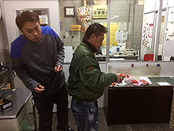 いろいろなイチゴ