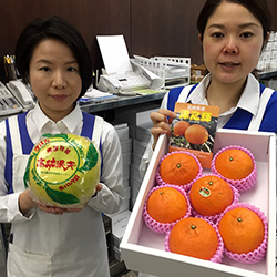 津之輝と晩白柚